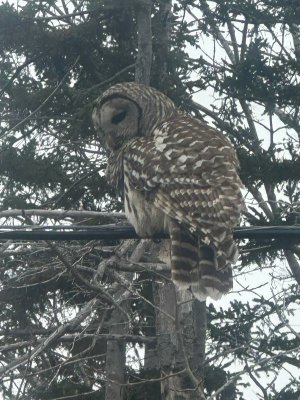 IMG_2560.jpeg IMG_2560.jpeg