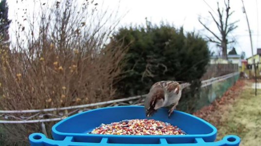 WhatsApp Image 2026-01-06 at 13.02.52 (1).jpeg