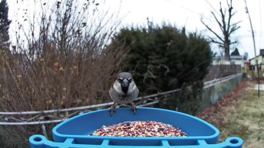 WhatsApp Image 2026-01-06 at 13.02.52.jpeg