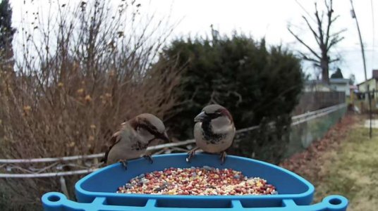 WhatsApp Image 2026-01-06 at 13.02.52 (2).jpeg