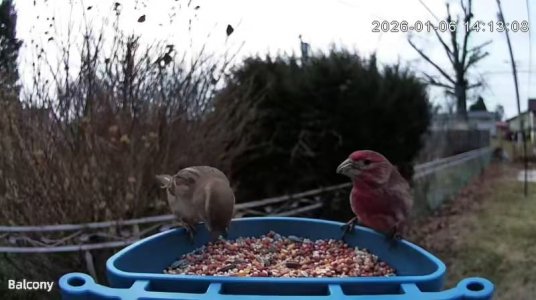 WhatsApp Image 2026-01-06 at 14.16.28.jpeg