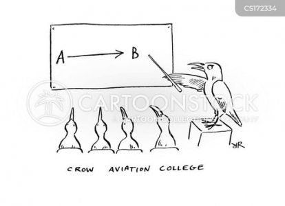 animals-bird-crow-aviation-aviation_colleges-flying-rrd0136_low.jpg