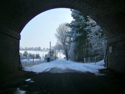 under the old railway bridge.jpg