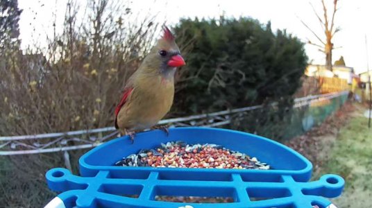 WhatsApp Image 2026-01-07 at 09.59.57.jpeg