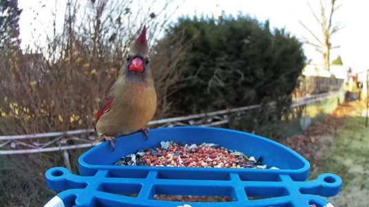 WhatsApp Image 2026-01-07 at 09.59.57 (2).jpeg