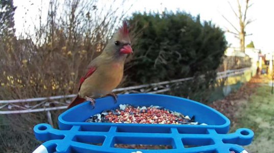 WhatsApp Image 2026-01-07 at 09.59.57 (1).jpeg