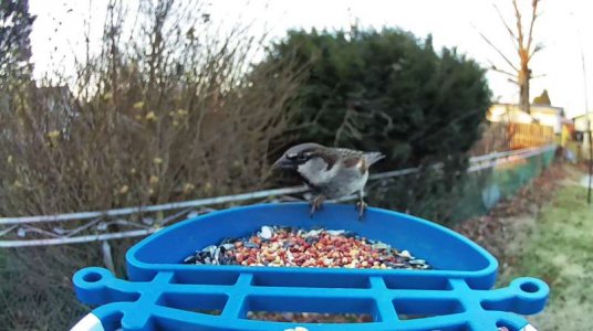 WhatsApp Image 2026-01-07 at 14.04.57 (3).jpeg