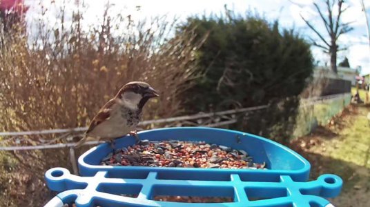 WhatsApp Image 2026-01-07 at 14.04.57.jpeg