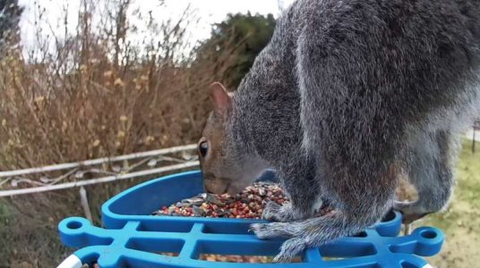 WhatsApp Image 2026-01-07 at 14.04.57 (2).jpeg