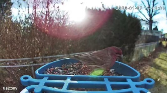 WhatsApp Image 2026-01-07 at 15.42.33.jpeg