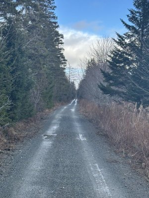 IMG_2036.jpeg IMG_2036.jpeg