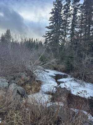 IMG_2039.jpeg IMG_2039.jpeg