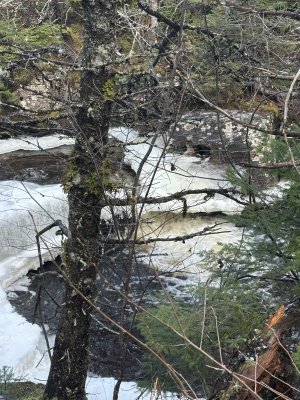 IMG_2040.jpeg IMG_2040.jpeg