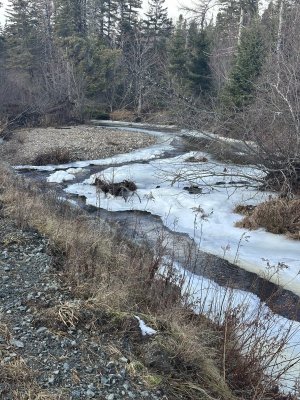 IMG_2042.jpeg IMG_2042.jpeg