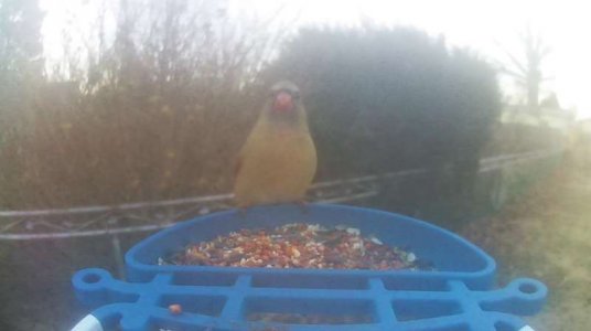 WhatsApp Image 2026-01-08 at 08.06.28.jpeg