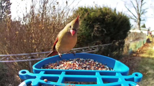 WhatsApp Image 2026-01-08 at 12.23.13.jpeg