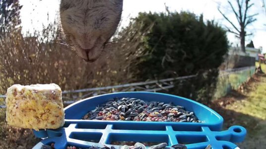 WhatsApp Image 2026-01-08 at 14.05.44.jpeg