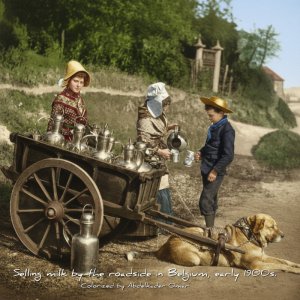 Selling milk by the roadside in Belgium, early 1900s..jpg