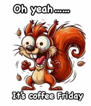 IMG_20260109_074125.jpg IMG_20260109_074125.jpg