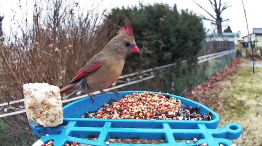 WhatsApp Image 2026-01-09 at 14.51.35.jpeg