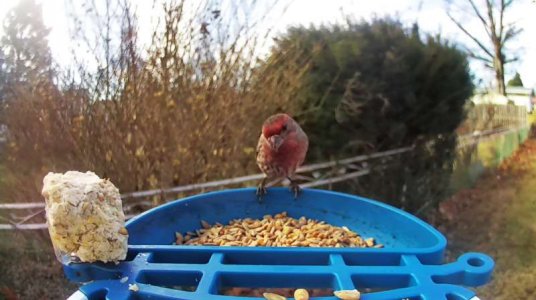 WhatsApp Image 2026-01-11 at 14.22.19.jpeg