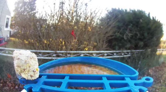 WhatsApp Image 2026-01-11 at 14.22.11.jpeg