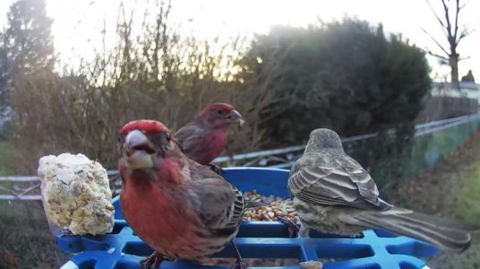 WhatsApp Image 2026-01-11 at 16.08.41.jpeg