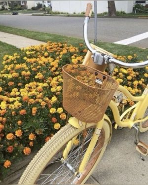 yellow bike.jpg