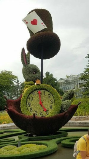 clock rabbit topiary.jpg