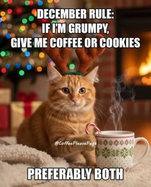 cat coffee cookies funny.jpg