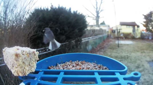 WhatsApp Image 2026-01-13 at 20.06.38 (7).jpeg