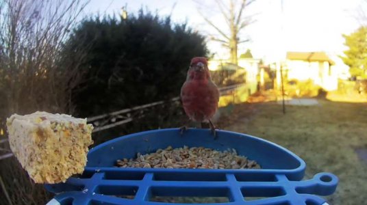 WhatsApp Image 2026-01-13 at 20.06.38 (4).jpeg