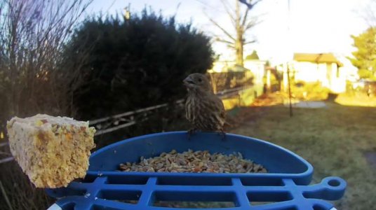 WhatsApp Image 2026-01-13 at 20.06.38 (3).jpeg