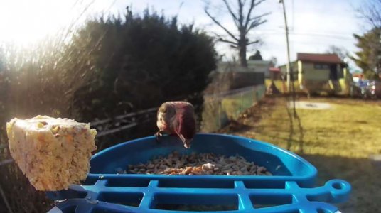 WhatsApp Image 2026-01-13 at 20.06.38.jpeg