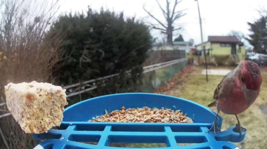 WhatsApp Image 2026-01-14 at 13.40.07 (2).jpeg