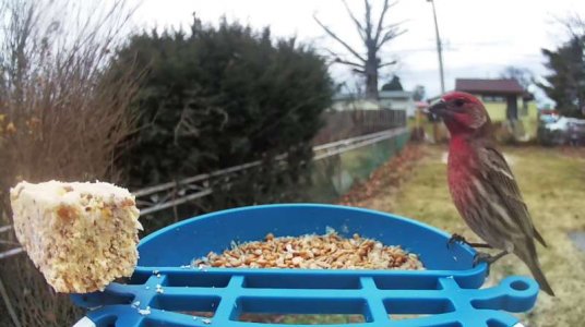 WhatsApp Image 2026-01-14 at 13.40.07 (1).jpeg