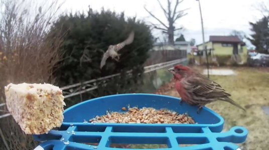 WhatsApp Image 2026-01-14 at 13.40.07 (3).jpeg