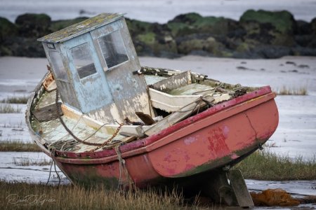 Z 600mm Test 14 Jan 26-11.jpg