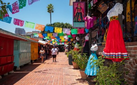 olverast2.JPG olverast2.JPG