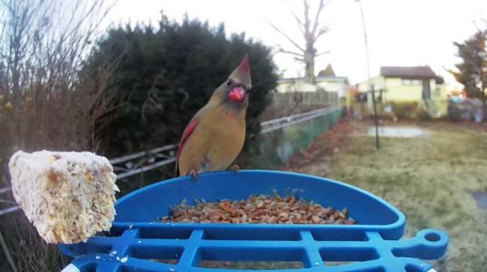 WhatsApp Image 2026-01-15 at 14.42.36.jpeg