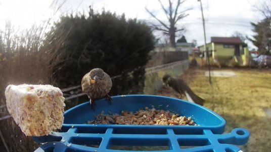 WhatsApp Image 2026-01-15 at 14.42.36 (3).jpeg