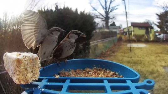 WhatsApp Image 2026-01-15 at 14.42.36 (2).jpeg