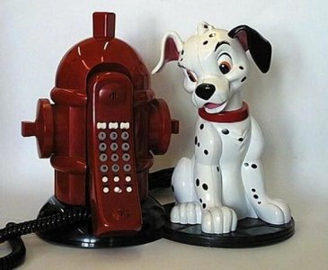 phone dog.jpg