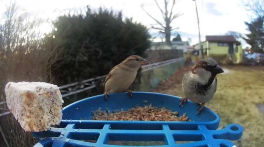 WhatsApp Image 2026-01-15 at 19.02.48.jpeg