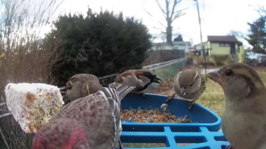 WhatsApp Image 2026-01-15 at 19.02.49.jpeg