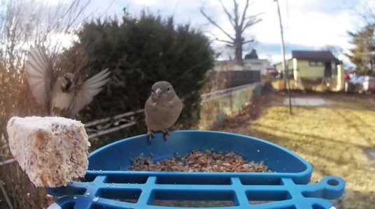 WhatsApp Image 2026-01-15 at 19.02.49 (1).jpeg