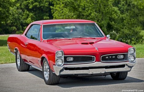 66 GTO.jpg