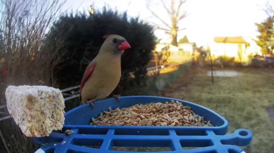 WhatsApp Image 2026-01-16 at 13.13.30 (5).jpeg