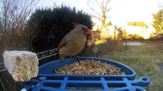 WhatsApp Image 2026-01-16 at 13.13.30 (6).jpeg