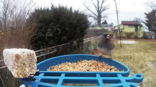 WhatsApp Image 2026-01-16 at 13.13.30 (3).jpeg